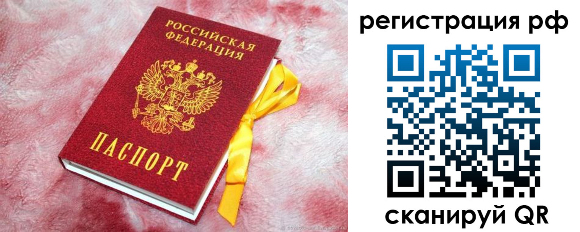 прописка в Североморске