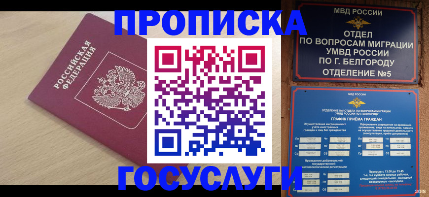 прописка законно в Североморске